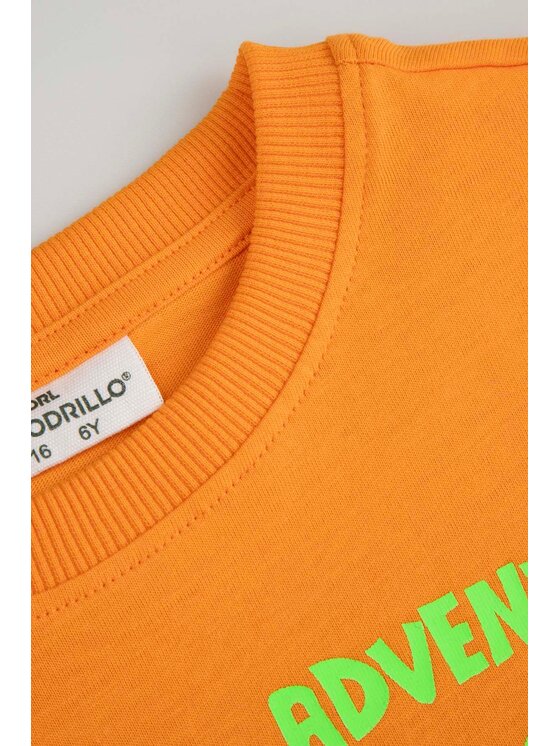 Coccodrillo Coccodrillo T-Shirt WC6143234VBA-006 Pomarańczowy Regular Fit