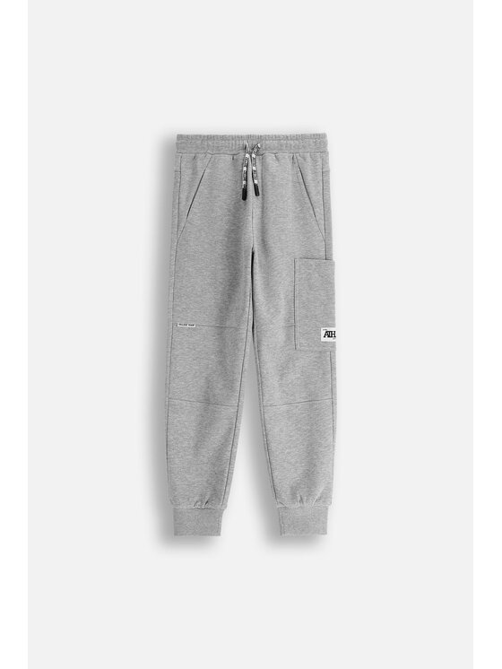 Coccodrillo Coccodrillo Spodnie dresowe ZC5120101ABJ-019 Szary Regular Fit