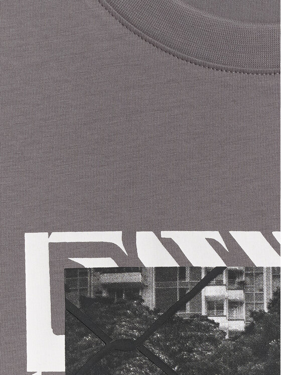 4F 4F T-Shirt FLUID EXPRESSIONS Szary Regular Fit