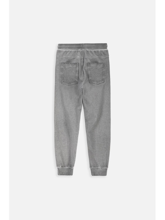 Coccodrillo Coccodrillo Spodnie dresowe ZC3120102LBL-019 Szary Regular Fit