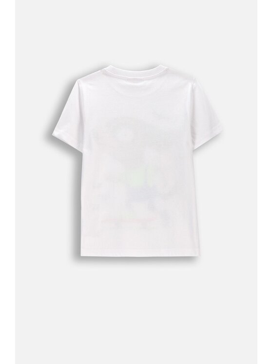 Coccodrillo Coccodrillo T-Shirt WC6143217VBB-001 Beżowy Regular Fit