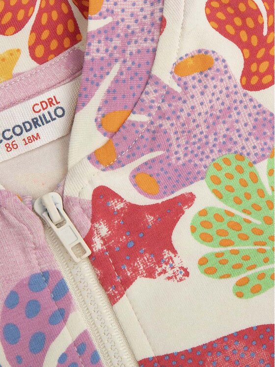 Coccodrillo Coccodrillo Felpa WC4133201OWN Multicolore Regular Fit