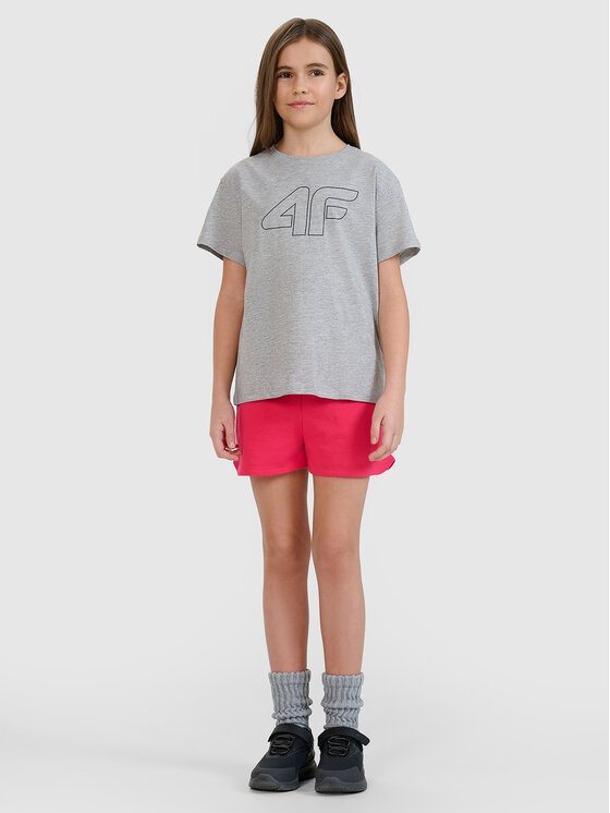 4F 4F Szorty sportowe BASIC+ Różowy Regular Fit