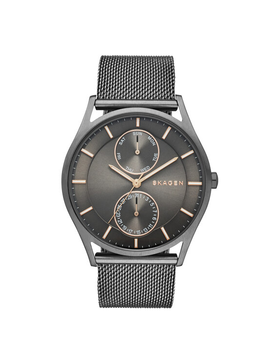 Skagen Skagen Orologio Holst SKW6180 Grigio