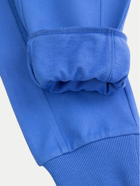 Coccodrillo Coccodrillo Долнище анцуг ZC4120104VBA Син Slim Fit