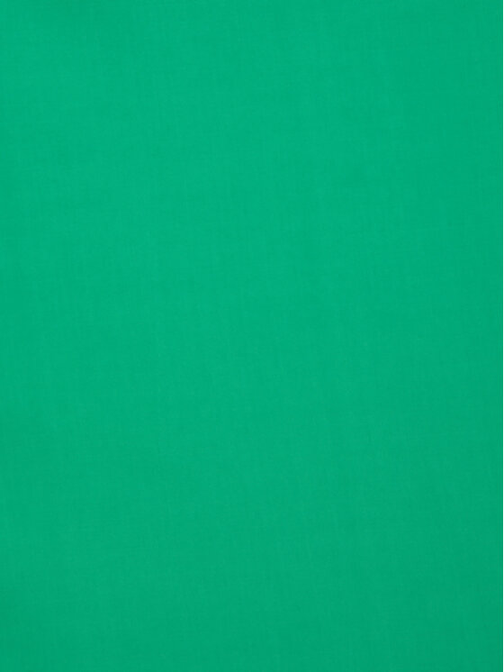Seidensticker Seidensticker Rochie de zi 60.134574 Verde Regular Fit