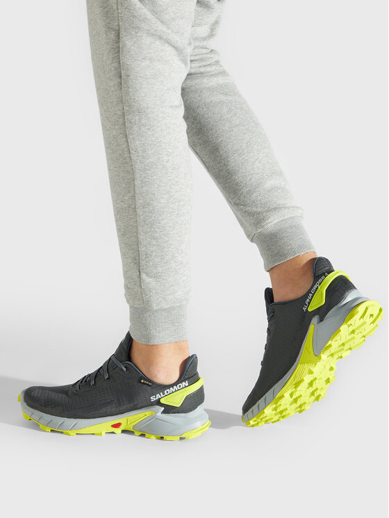 Salomon Salomon Взуття для бігу Alphacross 4 Gtx GORE-TEX 470667 26 V0 Сірий