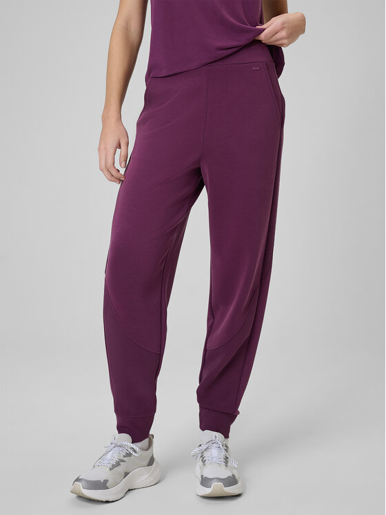 4F 4F Spodnie dresowe SPORTS CLUB Bordowy Regular Fit