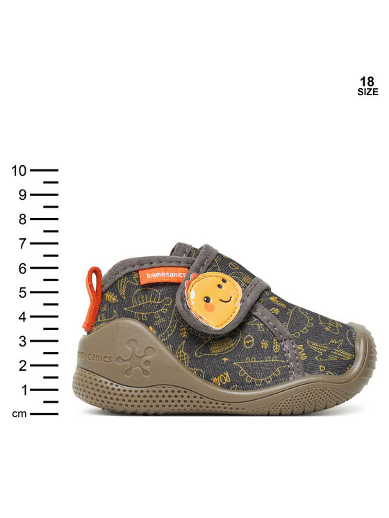 Biomecanics Biomecanics Sussid 251145 Hall