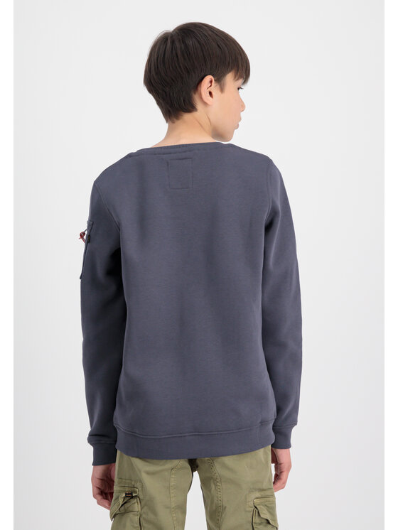 Alpha Industries Alpha Industries Bluza Alpha Label Sweatshirt Kids Szary Regular Fit