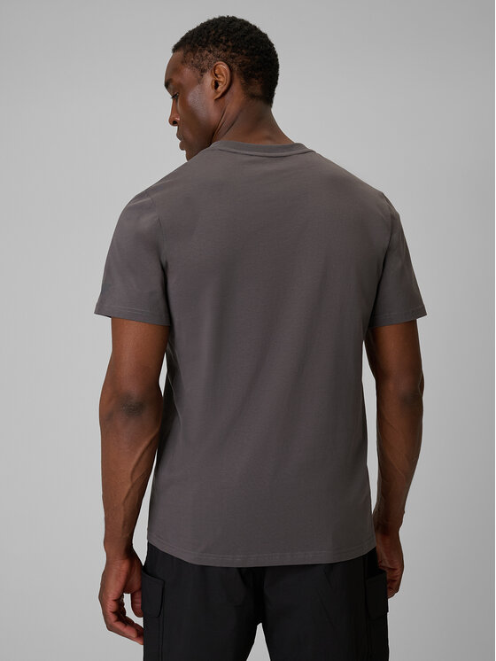 4F 4F T-Shirt TREKKING Szary Regular Fit