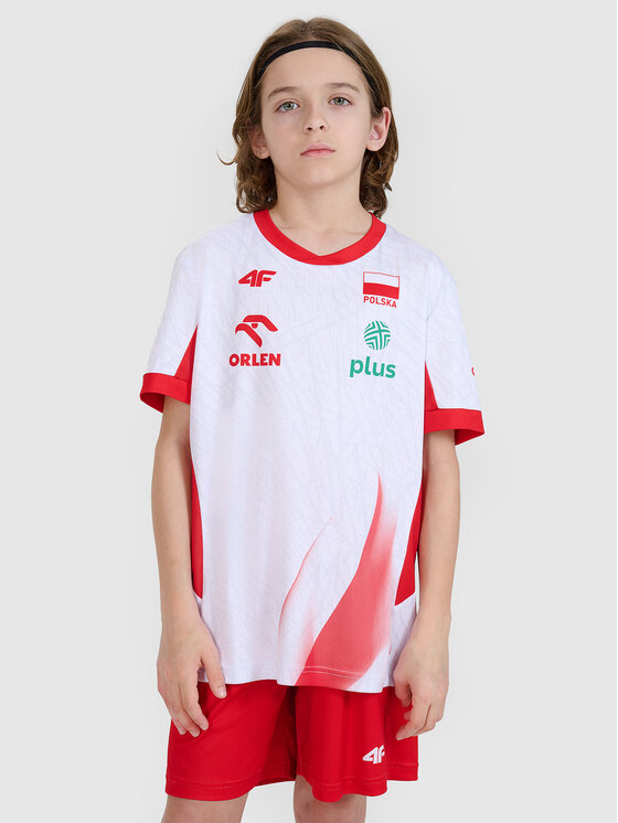 4F 4F Koszulka techniczna TEAMWEAR Kolorowy Regular Fit