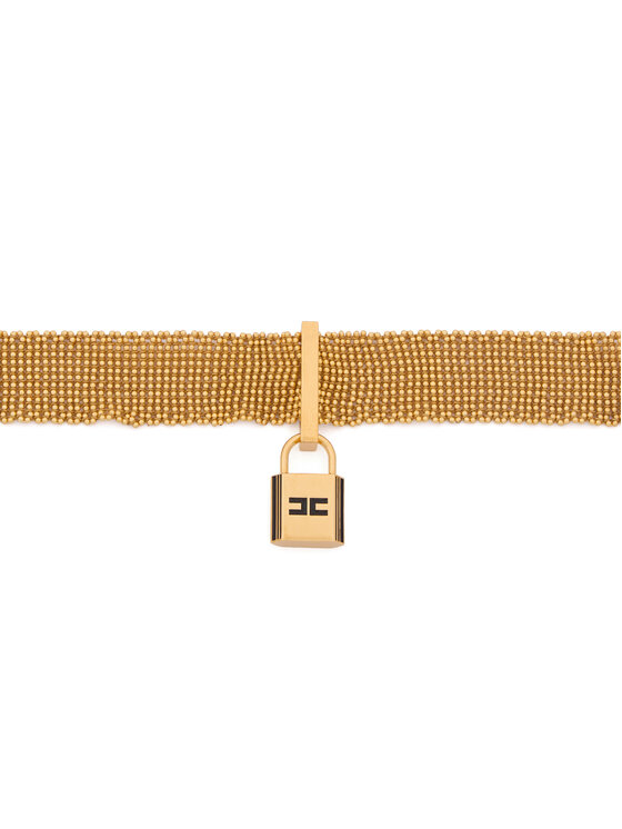 Elisabetta Franchi Elisabetta Franchi Чокер CO-14G-67E2-V290 Золотий
