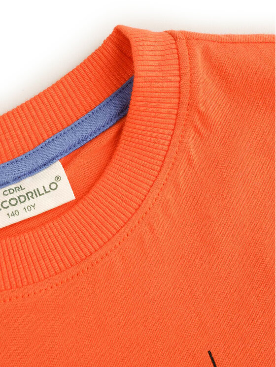 Coccodrillo Coccodrillo Marškinėliai WC5143204VBD Oranžinė Regular Fit