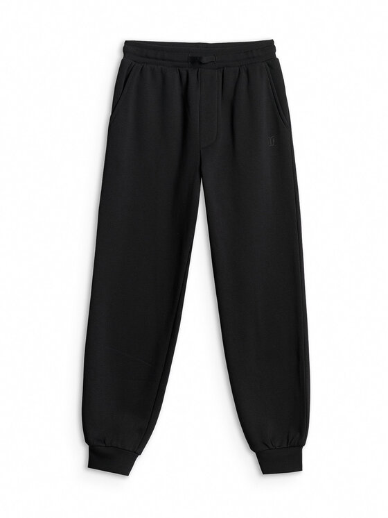 4F 4F Spodnie dresowe NOS Czarny Regular Fit
