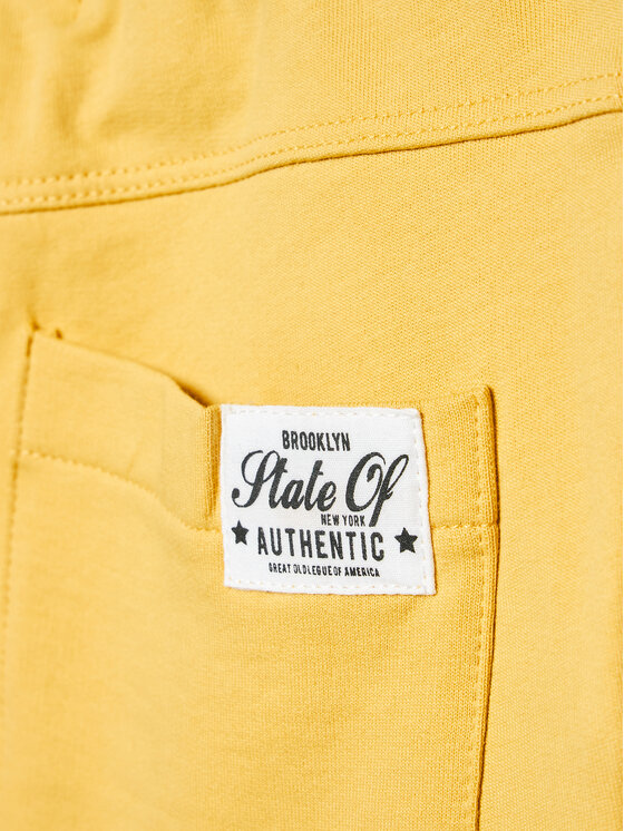 NAME IT NAME IT Set sportskih kratkih hlača﻿ 13201787 Šarena Regular Fit