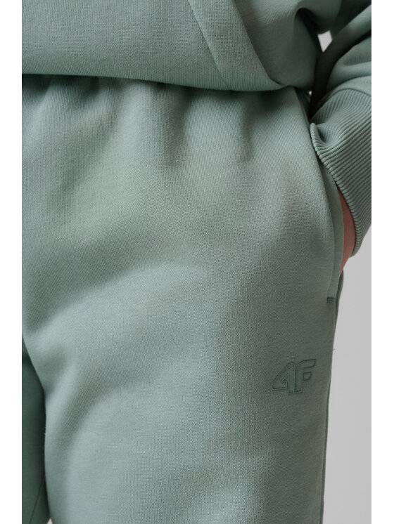 4F 4F Spodnie dresowe BASIC+ Turkusowy Regular Fit