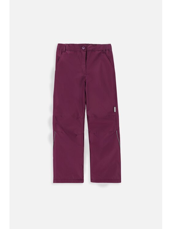 Lemon Explore Lemon Explore Spodnie narciarskie ZL3119601OSG-016 Fioletowy Regular Fit