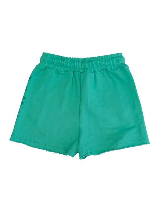 DISCLAIMER DISCLAIMER Szorty q-bab-69432 Zielony Regular Fit