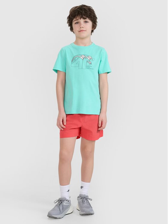 4F 4F T-Shirt 4FJWSS25TTSHM1917-47S Zielony Regular Fit