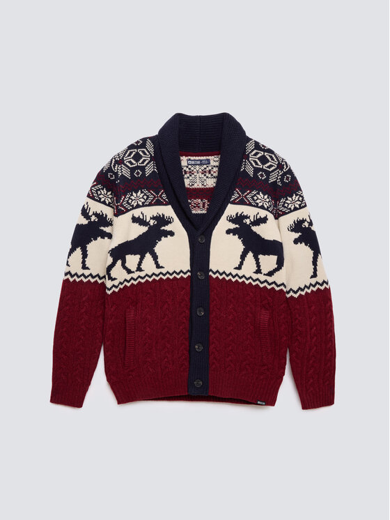 BIG STAR BIG STAR Kardigan LORENZO Kolorowy Basic Fit