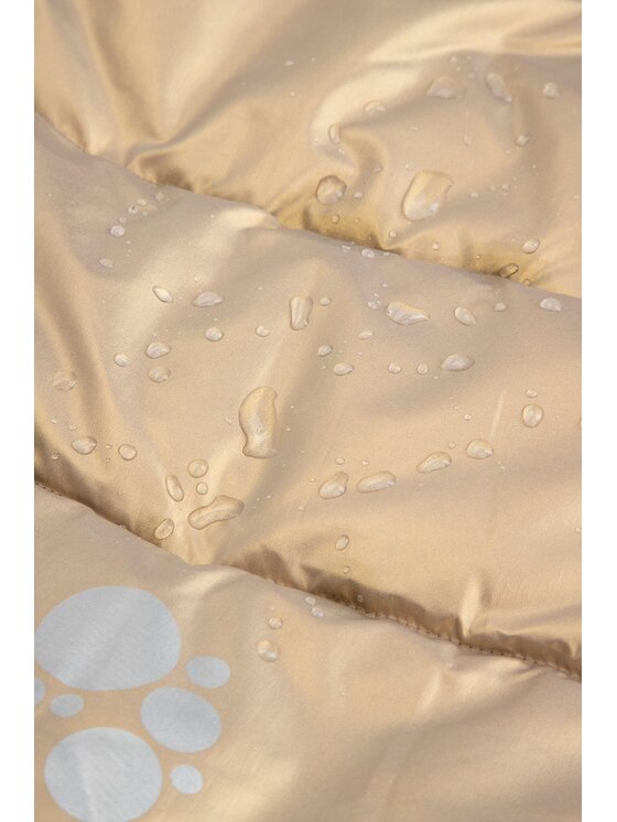 Coccodrillo Coccodrillo Zimní bunda ZC5152108OGK-023 Zlatá Regular Fit