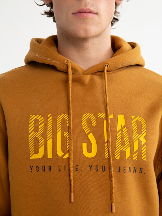 BIG STAR BIG STAR Bluza BRUDEN_803_170 Brązowy Classic Fit