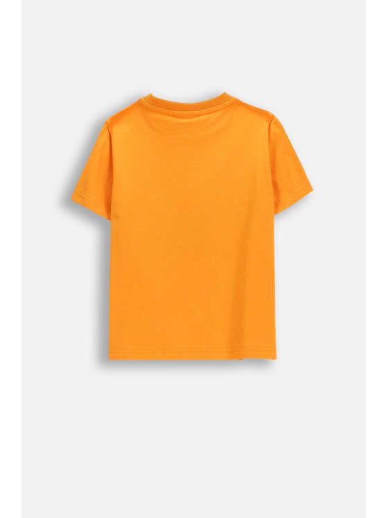 Coccodrillo Coccodrillo T-Shirt WC6143234VBA-006 Pomarańczowy Regular Fit