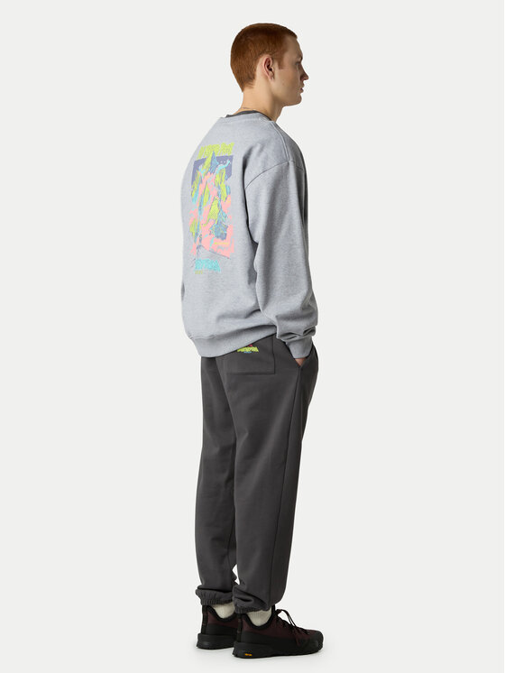 The North Face The North Face Mikina Expedition Celebration NF0A8E3G Šedá Relaxed Fit