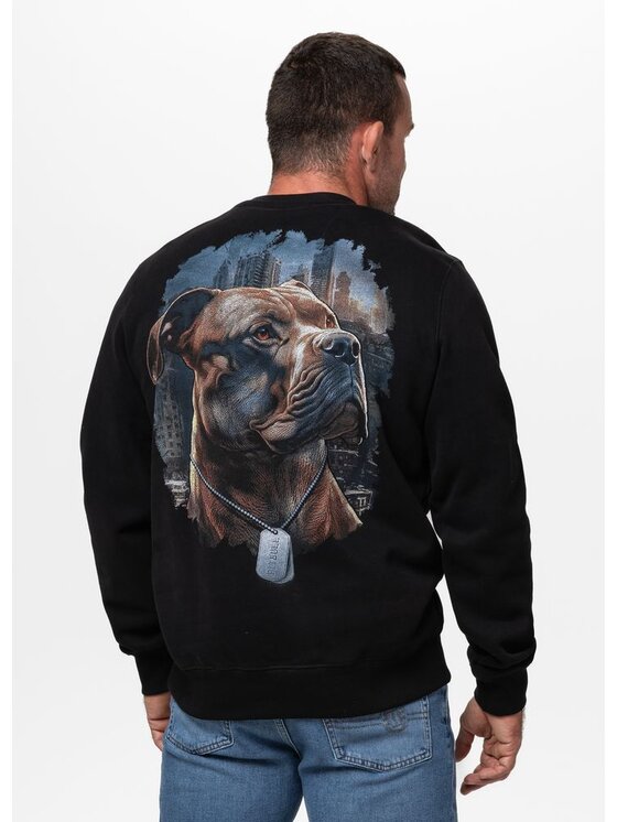 PITBULL PITBULL Bluza HERO Czarny Regular Fit