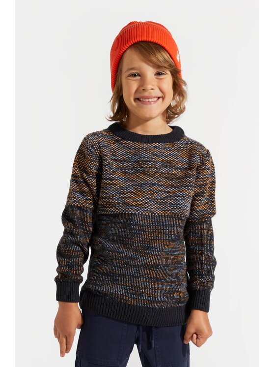 Coccodrillo Coccodrillo Sweter ZC4172101DBK-022 Kolorowy Regular Fit