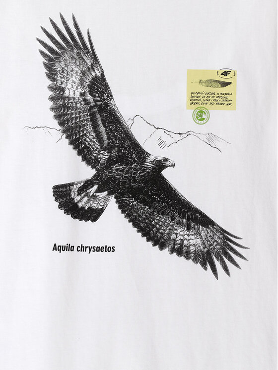 4F 4F T-Shirt OVERLAND Biały Regular Fit