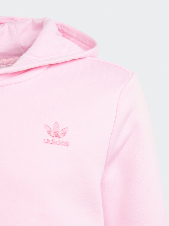 adidas adidas Majica dugih rukava adicolor IP3037 Ružičasta Regular Fit