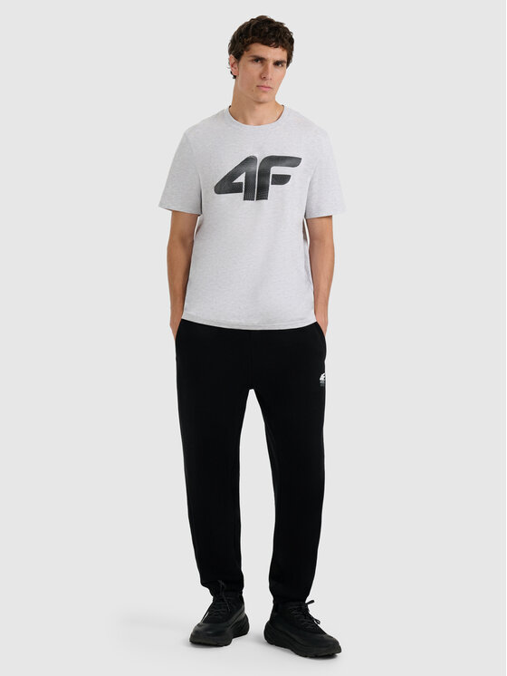 4F 4F T-Shirt NOS Szary jasny Regular Fit