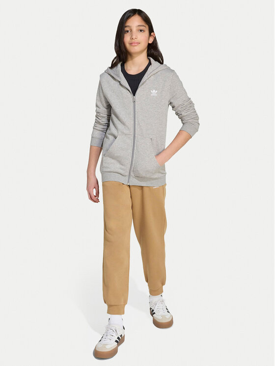 adidas adidas Majica dugih rukava JX2790 Siva Loose Fit