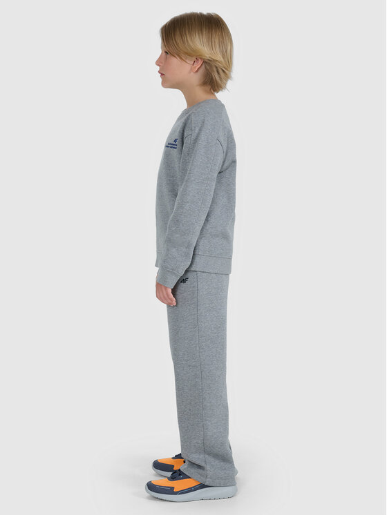 4F 4F Bluza BASIC+ Szary Regular Fit