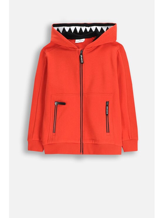 Bluza, rozmiar 104, Czerwony, WC5132401DBK-009