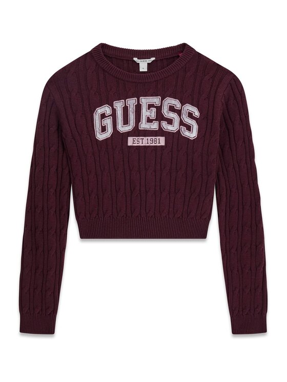Guess Kids Guess Kids Svetr 183024 Hnědá Classic Fit
