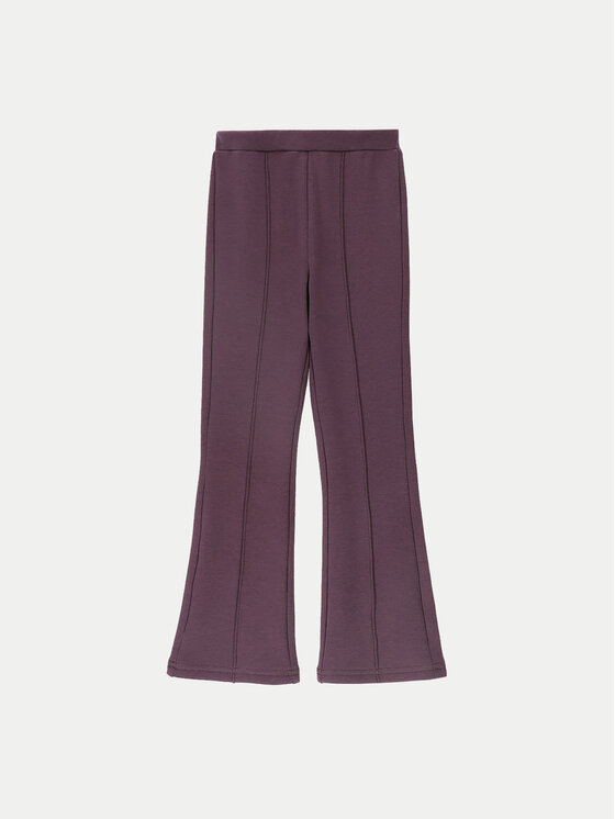 Coccodrillo Coccodrillo Hlače ZC4122602AGK Ljubičasta Regular Fit