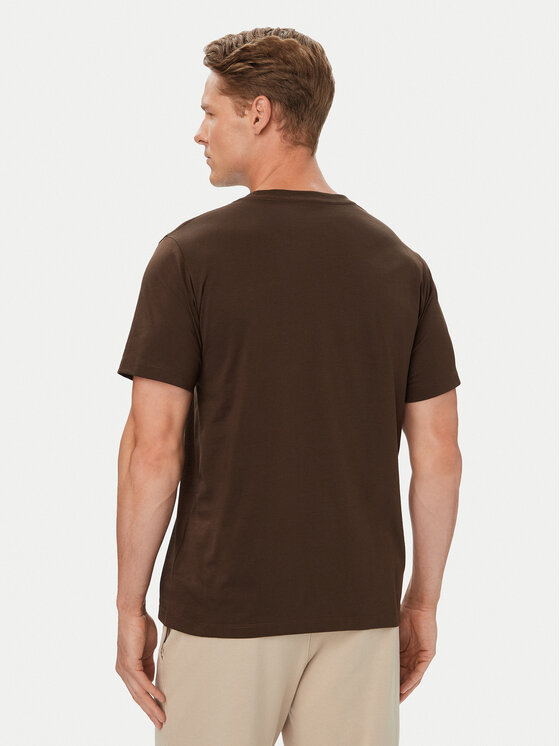 The North Face The North Face Tričko Evolution Simple Dome NF0A8CZ2 Tmavo hnedá Regular Fit