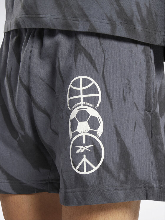 Reebok Reebok Spordišortsid Classics Block Party Shorts HS9179 Hall