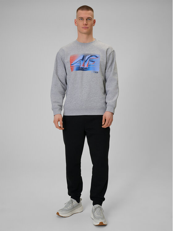 4F 4F Bluza WINTER CODE Szary jasny Regular Fit