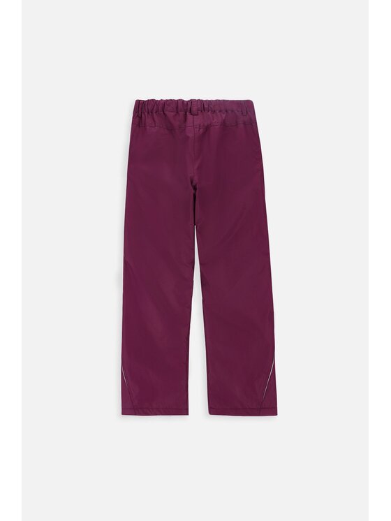 Lemon Explore Lemon Explore Spodnie narciarskie ZL3119601OSG-016 Fioletowy Regular Fit