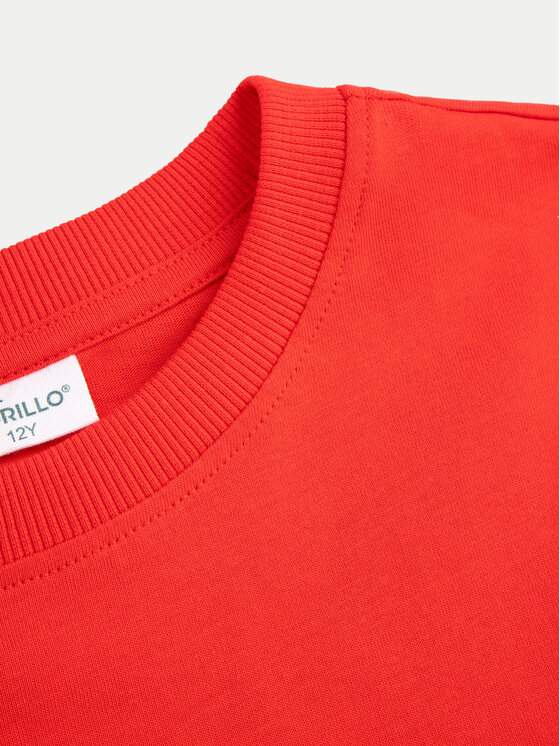 Coccodrillo Coccodrillo Bluse ZC4143109MER Rot Regular Fit