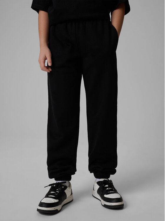 4F 4F Spodnie dresowe BASIC+ Czarny Regular Fit
