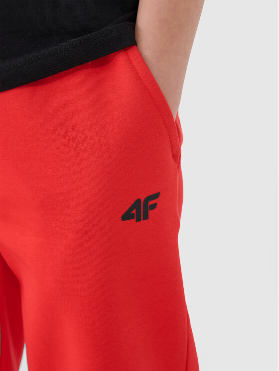 4F 4F Spodnie dresowe BASIC+ Pomarańczowy Regular Fit