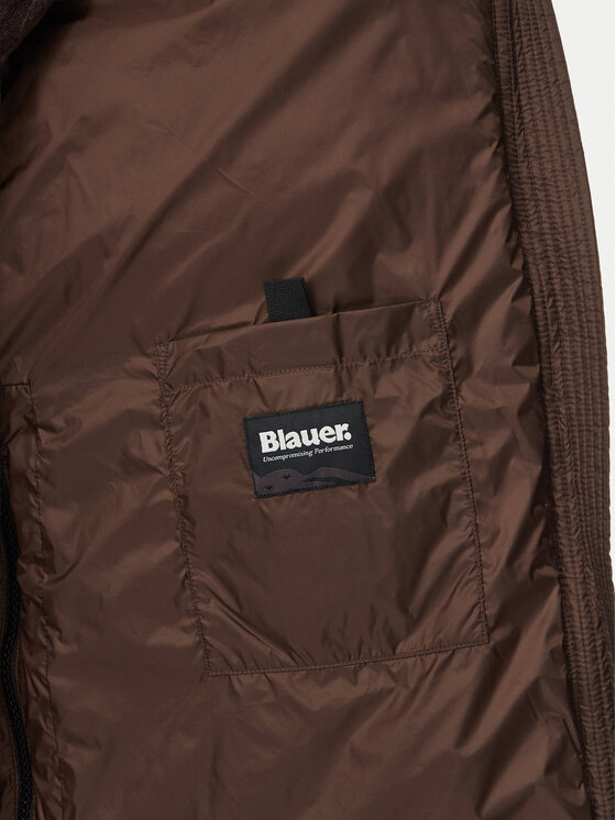 Blauer Blauer Зимова куртка Celia 26WBLDK03389 007455 Коричневий Regular Fit