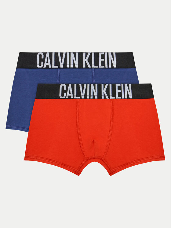 Calvin Klein Underwear Set Od 2 Para Bokserica B70B700488 Šarena