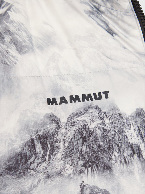 Mammut Mammut Vatovaná bunda Fedoz 1013-02520-00640-113 Barevná Regular Fit