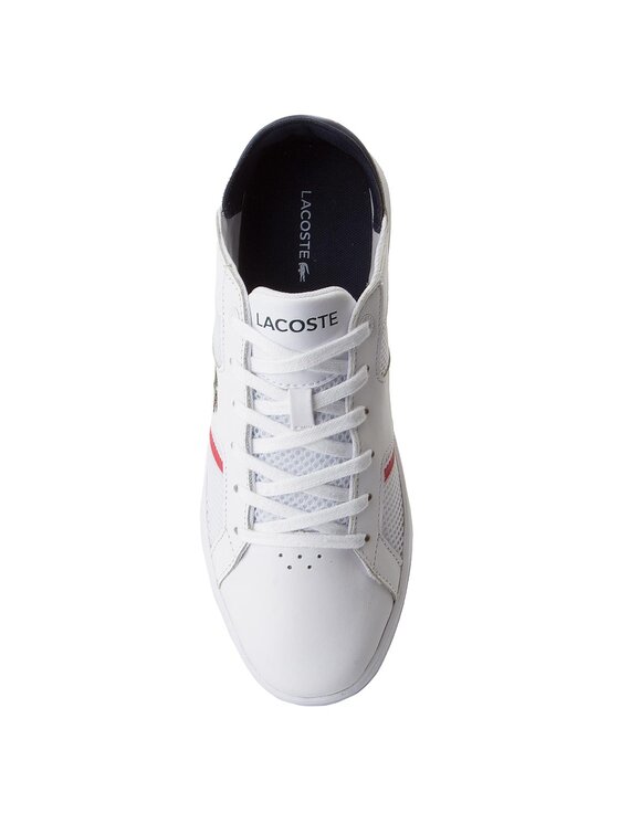 Lacoste clearance novas ct